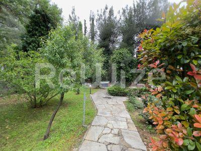 Photo 5,Κήπος,ΠΏΛΗΣΗ,Κατοικία,Μεζονέτα,160τ.μ,€420,000,Ελαιώνες